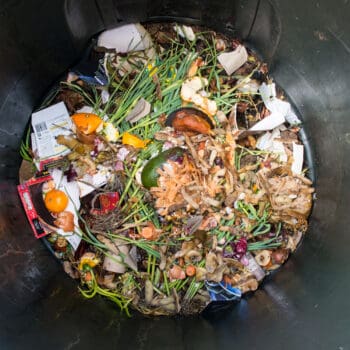 Understanding Organics Reduction and Environmental Justice Trends