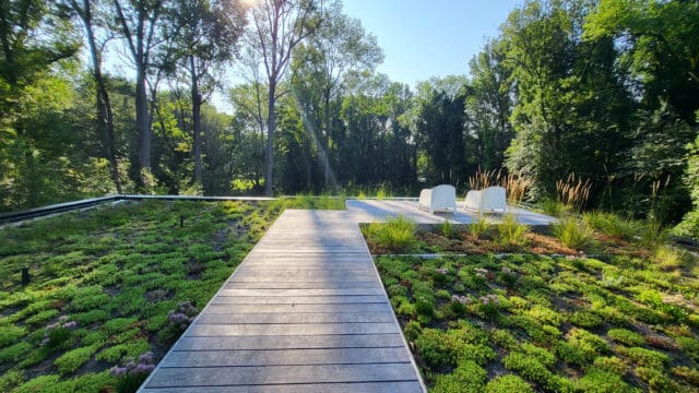 A photograph of a green rooftop with a wooden boardwalk and two chairs that resemble art.