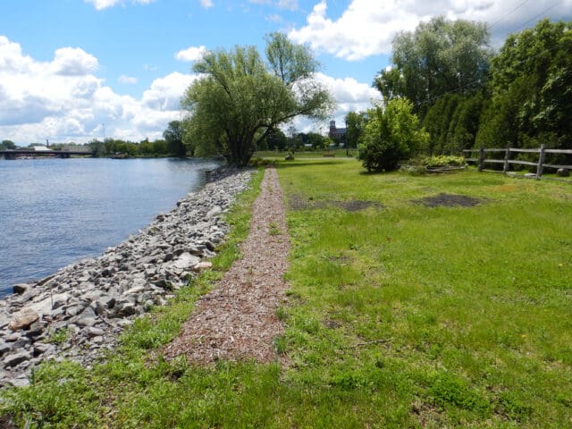 A photograph of a stabilized shoreline