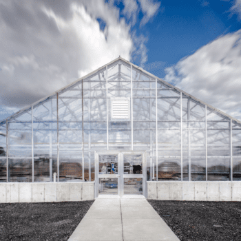 Growing a Greener Curriculum: What to Consider When Designing a Greenhouse