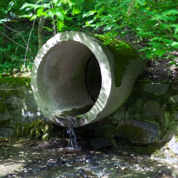 How Can Your Community Benefit From the NYS Environmental Bond Act of 2022?