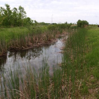 The NYS Environmental Bond Act of 2022: Open Space Land Conservation and Recreation