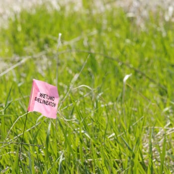 Wetland Delineation: New Federal Regulations for K-12 Districts and BOCES