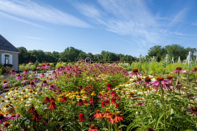 A photograph of flowers at Smith Farm Gardens venue in East Haddam, CT