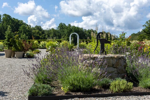 A photograph of flowers at Smith Farm Gardens venue in East Haddam, CT