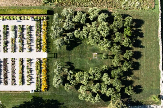 An aerial photograph directly above an apple orchard with clearning in the center at Smith Farm Gardens venue in East Haddam, CT