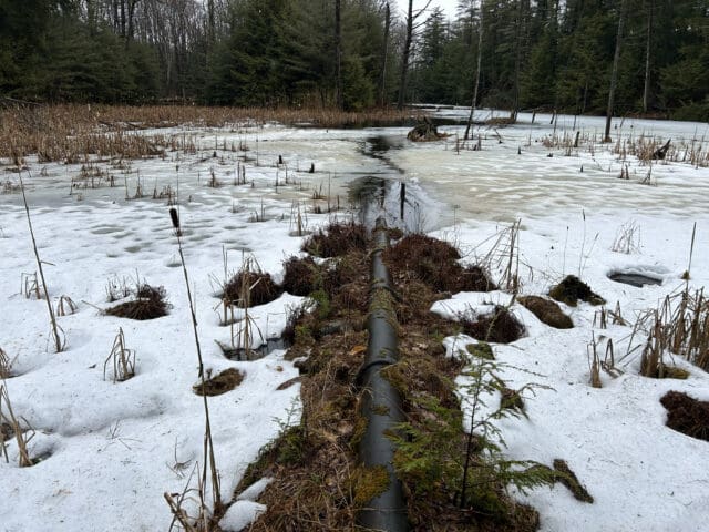 A photograph of a watermain pipe running into a reservoir, but the reservoir water is so low that the pipe is suspended in the air.
