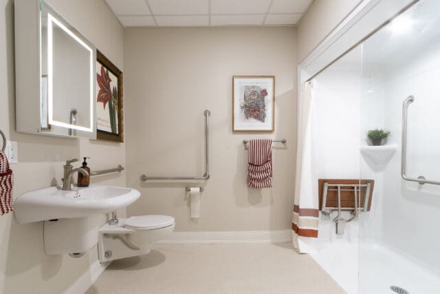 A photograph of an accessible bathroom with a toilet, handrail, and walk-in shower with bench