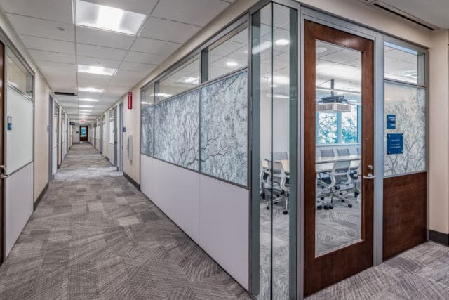 A photograph of a long hallway with multiple doors. The image looks partially into a meeting room with a table and chairs. Windows look into the hallway, but the top halves are lightly screened by an image of a tree.