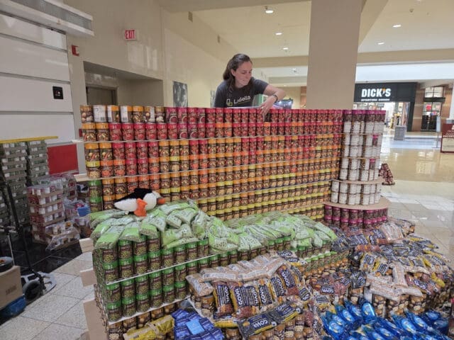 A photograph of a person carefully placing canned vegetables in a tall structure made of non-perishable items.
