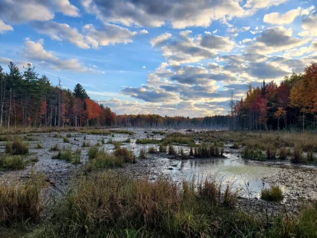 New York’s Environmental Regulations in Transition: What Municipalities Need to Know
