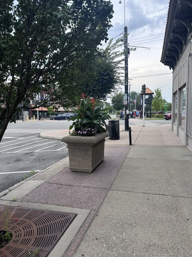 A photograph of a sidewalk with a tree, planters, light post, trash receptacle, and a clock tower in the background.